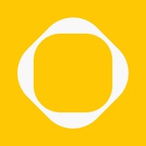 Dprofile. Образование