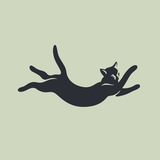 CAT-Y info