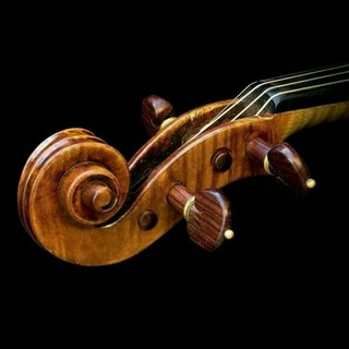 گذری بر ویولن ایرانی🎻