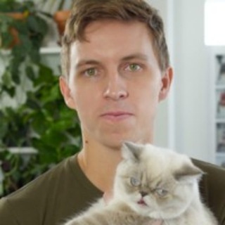 Web Developer Bootcamp Colt Steel