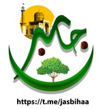 کانال جاسبی ها