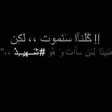 كلنا شهداء