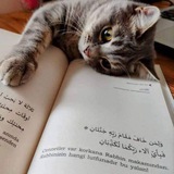 دُلَّني عليكَ ياربِّ!