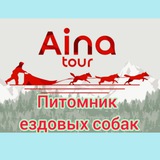 Айна Тур 🐾 Собачьи упряжки Сахалин 🐕