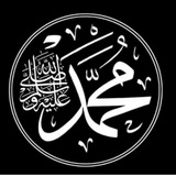 الفصول في سيرة الرسول ﷺ