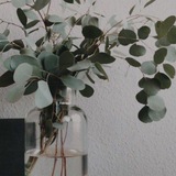 لله نمضي| 💚 🌿