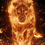 🅿️ hotogeni ©️ World <i class="emoji" style="background-ima