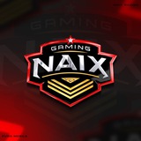 NAIX GAMING