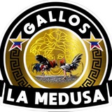 Gallos la medusa