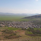 چرتیک