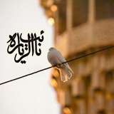 🌿 ♥️ نائب الزیاره<i class="emoji" style="background-image