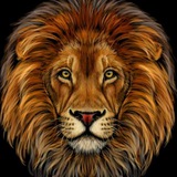 Lions- 🦁 -Bcone ❤️ <i class="emoji" style="background-image