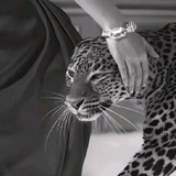 إنطفاء 🖤