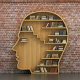 Avid Novel Readers