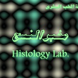 مخبر النسج العملي 🔬