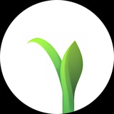 الحياة للوساطة المالية Al Hyat Brokerage
