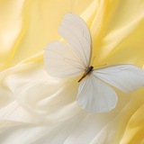 كانال روانشناسي آرامش درون🕊️
