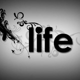 The LIFE_Official ™