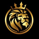 Kingmaster team 🏆
