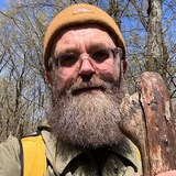 низгораев