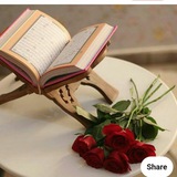 Beautiful Qur'an recitation videos