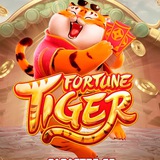 HORÁRIOS PAGANTES - VIP TIGER 🐯 🤑