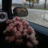 شـُعور .