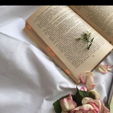 Китептер 📚