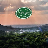 ﮼اسفنجانجوانلاری