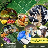 الإنتاج الحيواني
