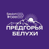 Smart Bee | Предгорья Белухи