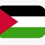 غزه الان- Gaza New