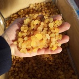کانال اطلاع رسانی قیمت انگوری تیزآبی و آفتابی