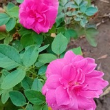 نوفمبر ♡