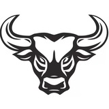 Stock Thunder