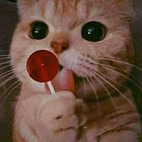 هترشات صيدلانيه 🌸 💖