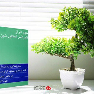 چهاراثر از فلورانس اسکاول شین