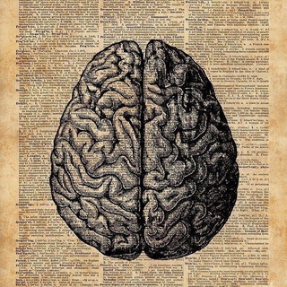 ملخصات 48