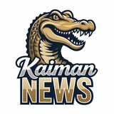 Kaiman_News 🐊