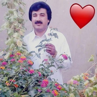 کانال رسمی شاعر خدانظربلوچ