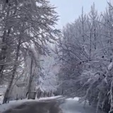 کانال اطلاع رسانی مهارت آموزان ماده ٢٨