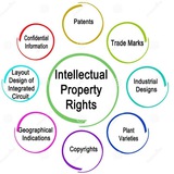 Intellectual Property Rights - IPR(™,©,®,GI)