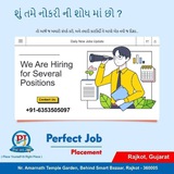 Perfect Job Alerts - Rajkot