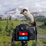Картинка канала