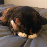 Картинка канала