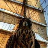 Картинка канала