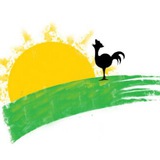 Картинка канала