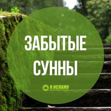 Картинка канала