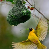 Картинка канала