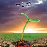 Картинка канала